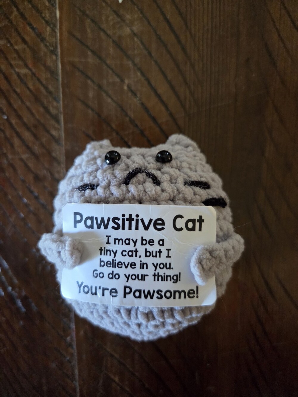 🎉5/$10 Pawsitive Cat